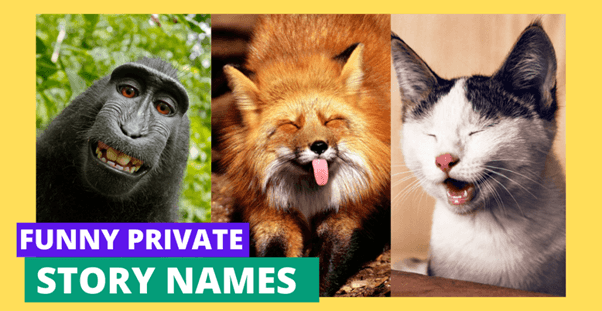 Funny Private Story Names